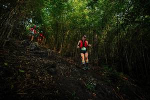 BIB: 
                            <button type="button" onclick="openModal(25099981)" class="btn btn-primary btn-sm float-right btn-popup" data-toggle="modal" data-target=".modal-high-quality">
                        <i class="fas fa-shopping-cart"></i> Add to Cart
                    </button>
                                            <button type="button" onclick="isThisMe(25099981, true)" class="btn btn-success btn-sm float-right btn-popup btn-isme hidden" data-toggle="tooltip" data-placement="bottom" title="นี่คือรูปของคุณใช่ไหม คลิกที่นี่เพื่อเอาเข้าอัลบั้ม">
                        <i class="fas fa-plus"></i> Add to album
                    </button>
                    <button type="button" onclick="isThisMe(25099981, false)" class="btn btn-warning btn-sm float-right btn-popup btn-isnotme hidden">
                        <i class="fas fa-ban"></i> Remove from album
                    </button>